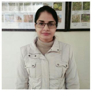 Profile picture for user Nisha Khatik